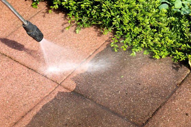 Best Pressure Washing Near Me  in Tallapoosa, GA